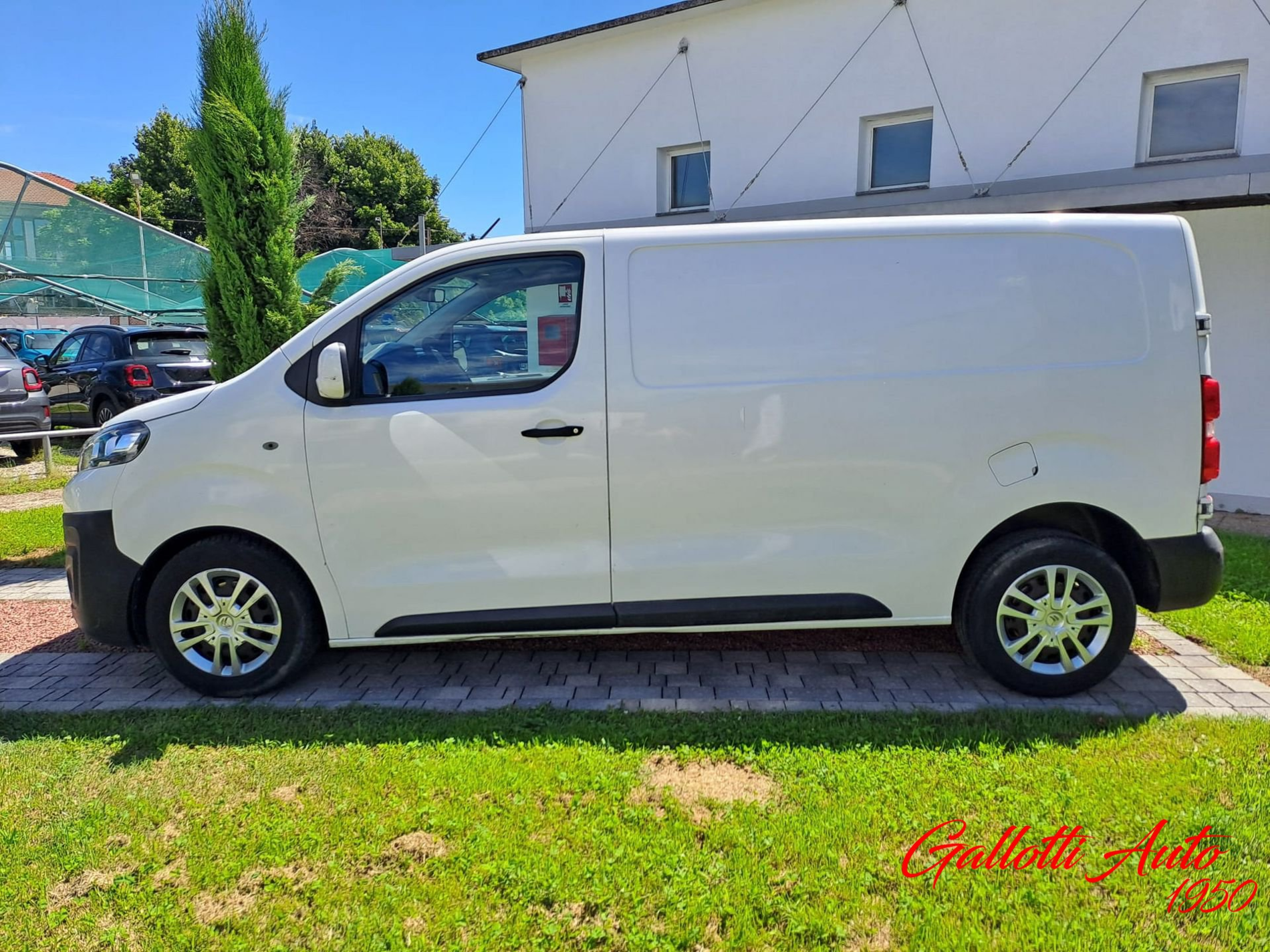 BlueHDi 120 PM-TN Furgone M Comfort + IVA - Gallotti Auto