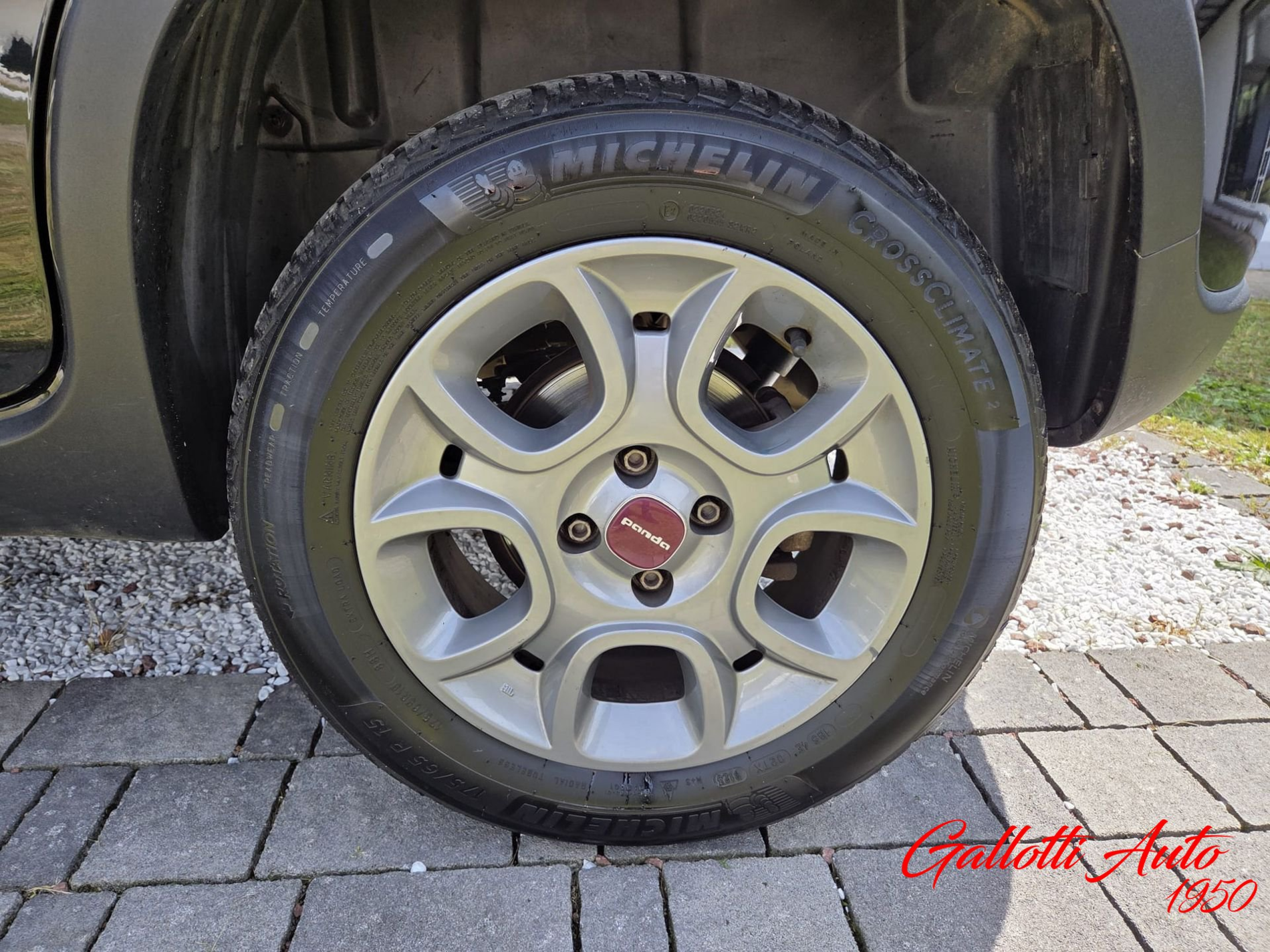 FIAT Panda 0.9 TwinAir Turbo S&S 4x4 - Gallotti Auto