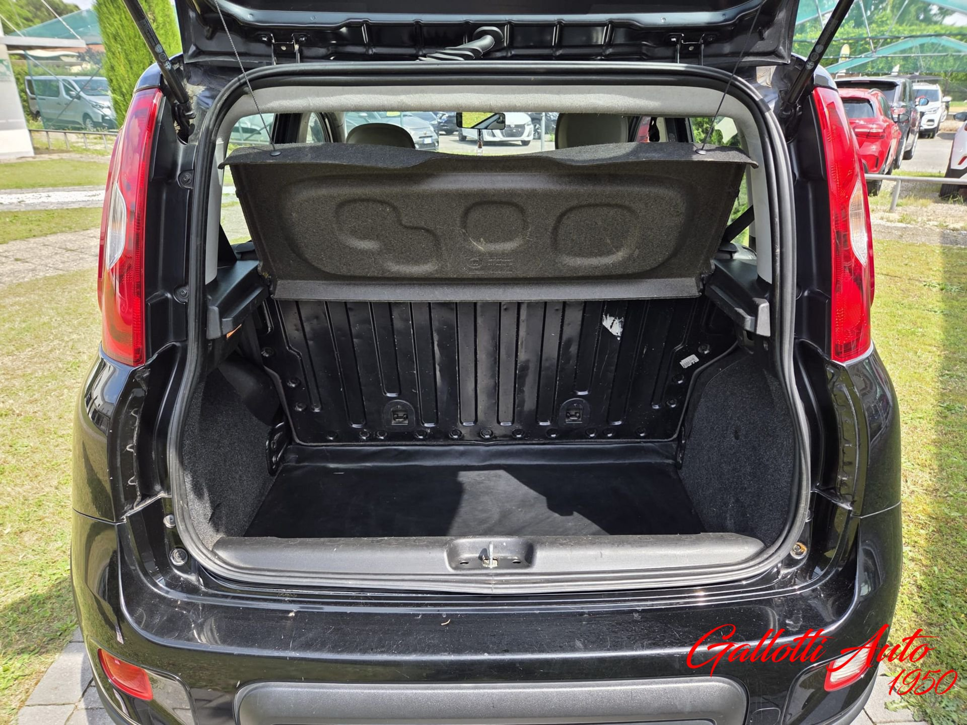 FIAT Panda 0.9 TwinAir Turbo S&S 4x4 - Gallotti Auto