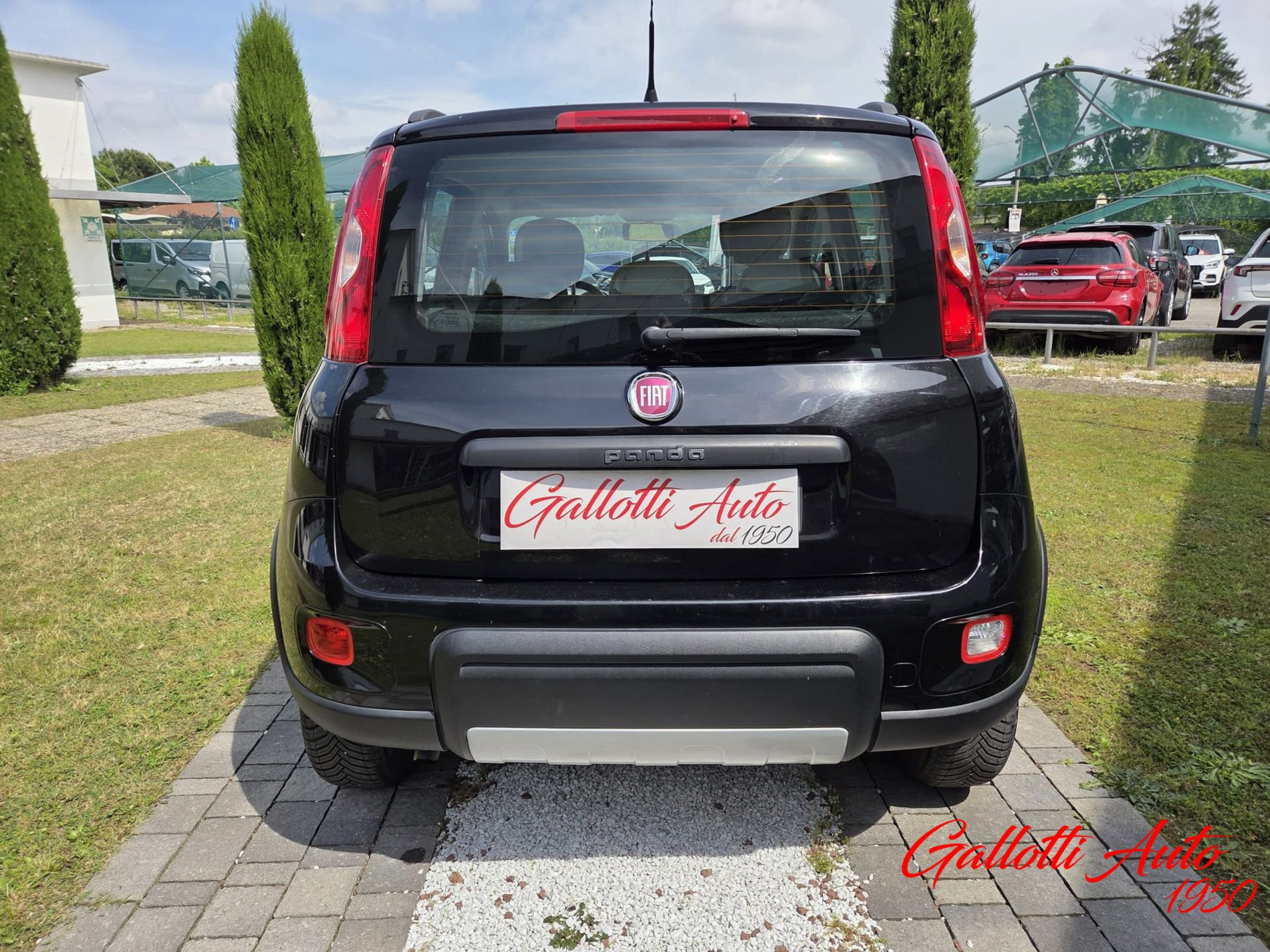 FIAT Panda 0.9 TwinAir Turbo S&S 4x4 - Gallotti Auto