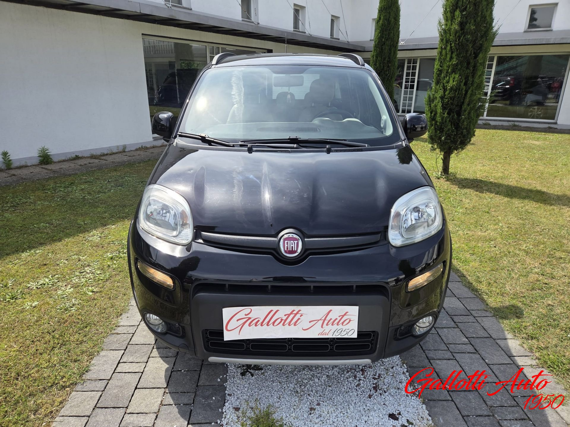 FIAT Panda 0.9 TwinAir Turbo S&S 4x4 - Gallotti Auto