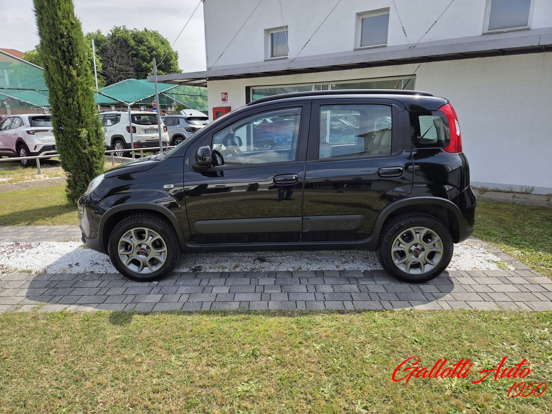 FIAT Panda 0.9 TwinAir Turbo S&S 4x4 - Gallotti Auto