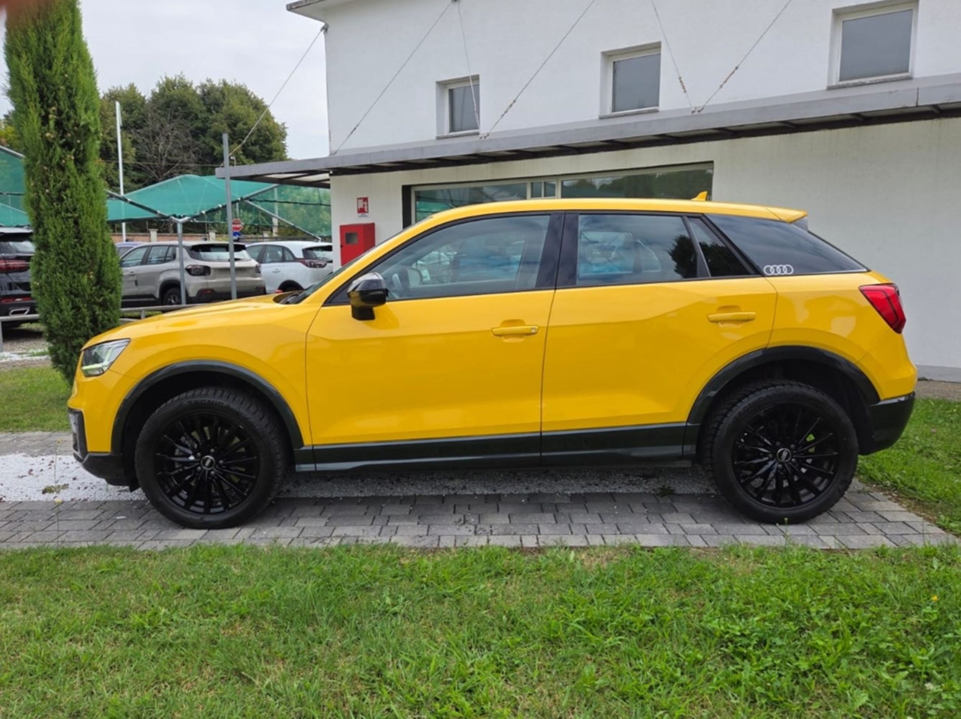 Q2 1.6 116 CV tdi S line edition - NEOPATENTATI - Gallotti Auto