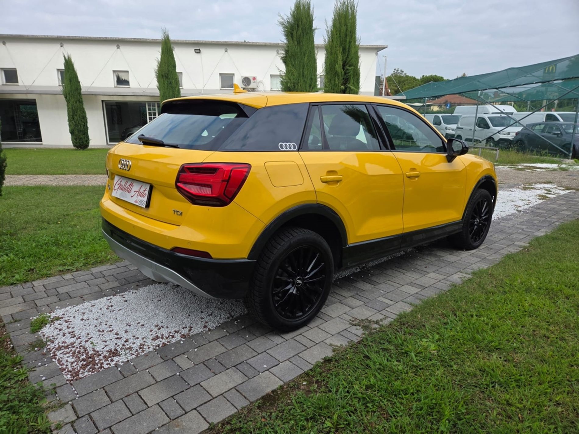 Q2 1.6 116 CV tdi S line edition - NEOPATENTATI - Gallotti Auto