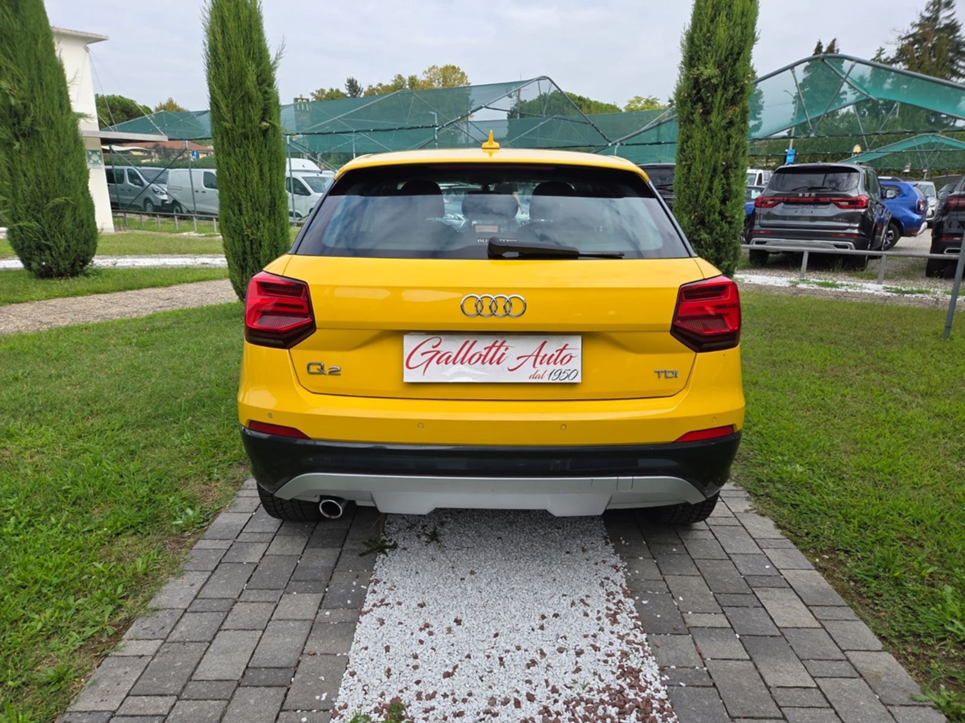 Q2 1.6 116 CV tdi S line edition - NEOPATENTATI - Gallotti Auto
