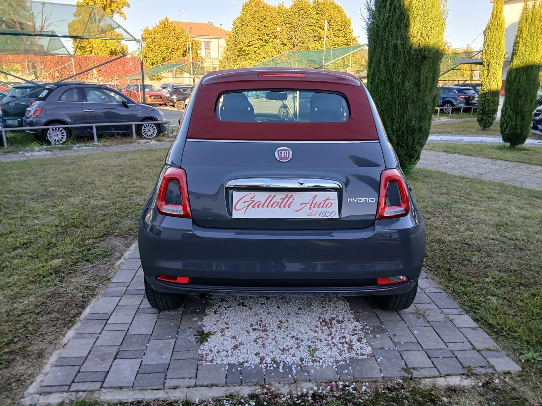 FIAT 500 CABRIO CULT 1.0 HYBRID 70cv - NEOPATENTATI - Gallotti Auto