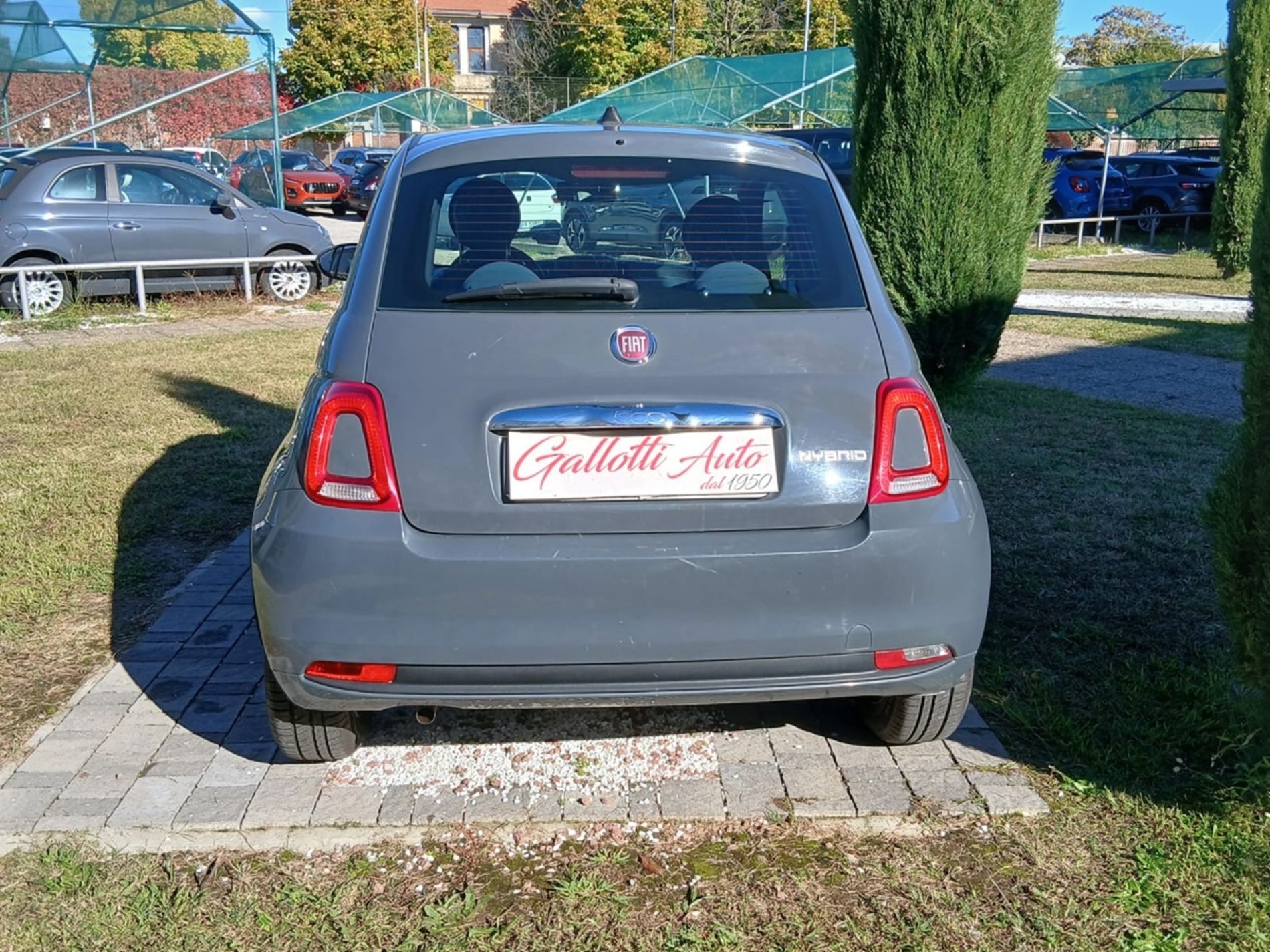 HYBRID CULT - NEOPATENTATI - Gallotti Auto