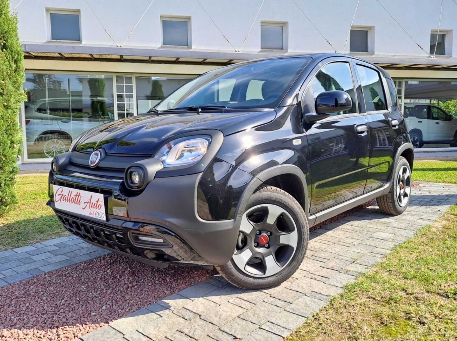 CITY CROSS 1.0 hybrid 70cv - Gallotti Auto