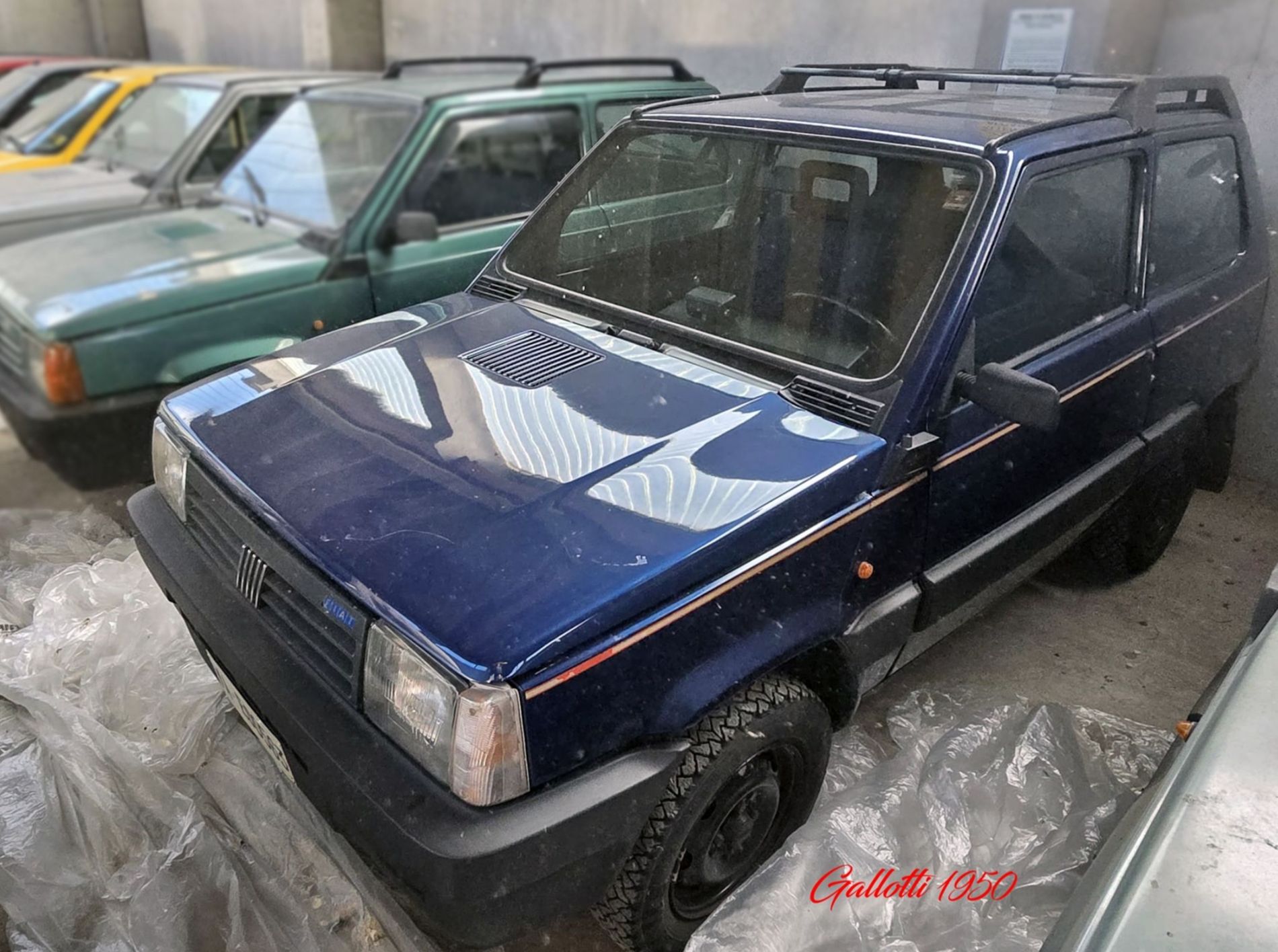 Fiat Panda 1.1 Trekking 4x4   - Gallotti Auto