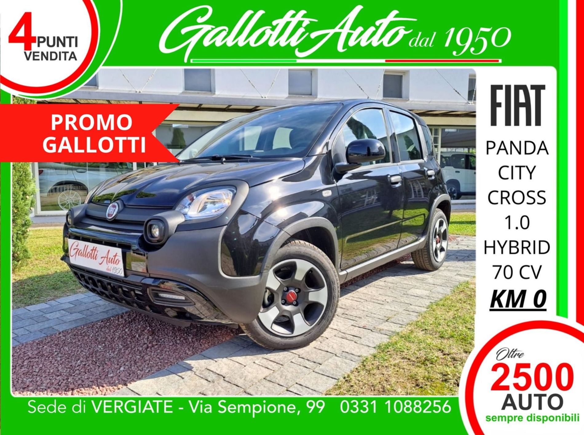 PANDA CITY CROSS - Gallotti Auto