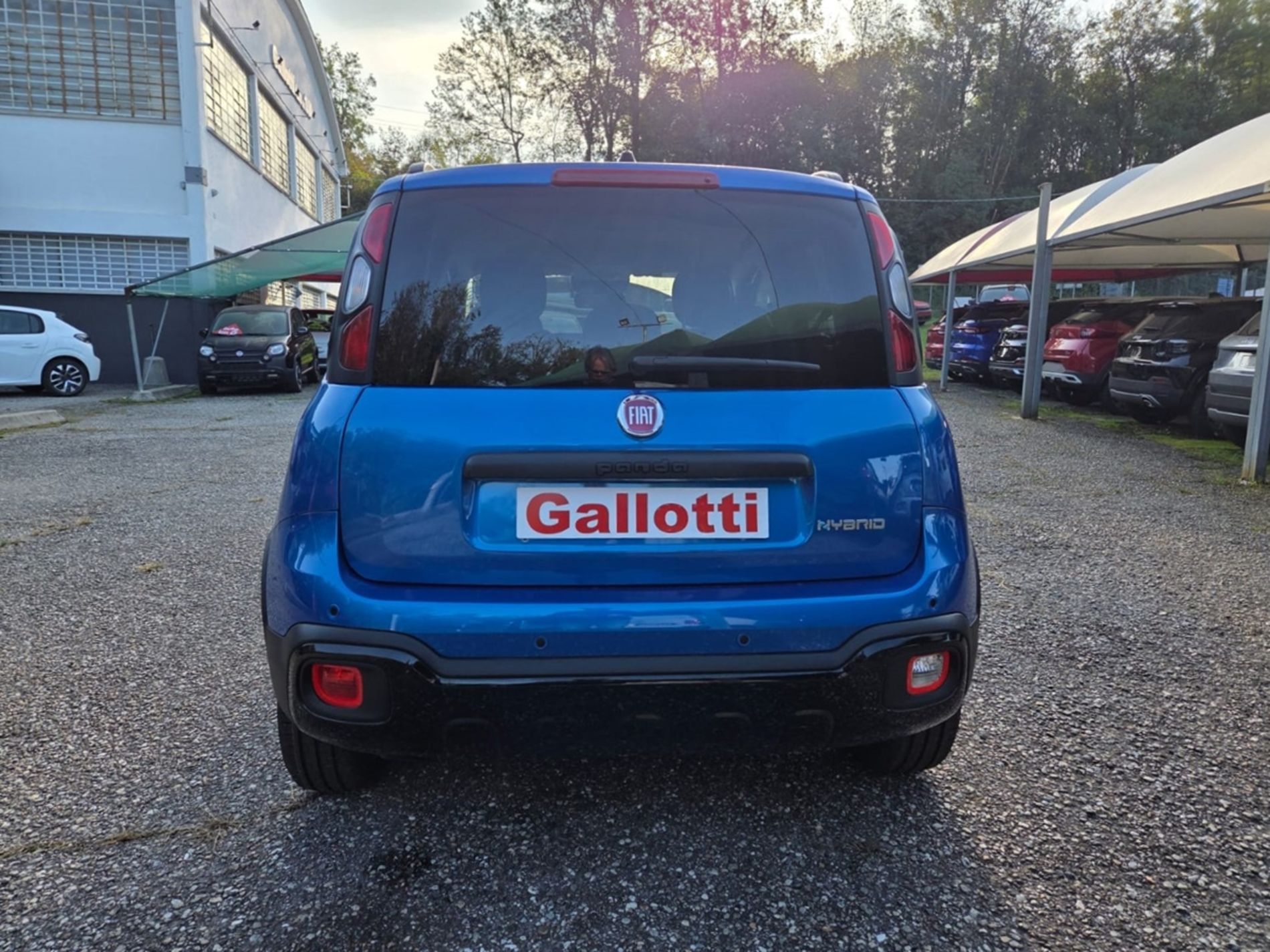 Cross 1.0 firefly hybrid s&s 65cv   - Gallotti Auto