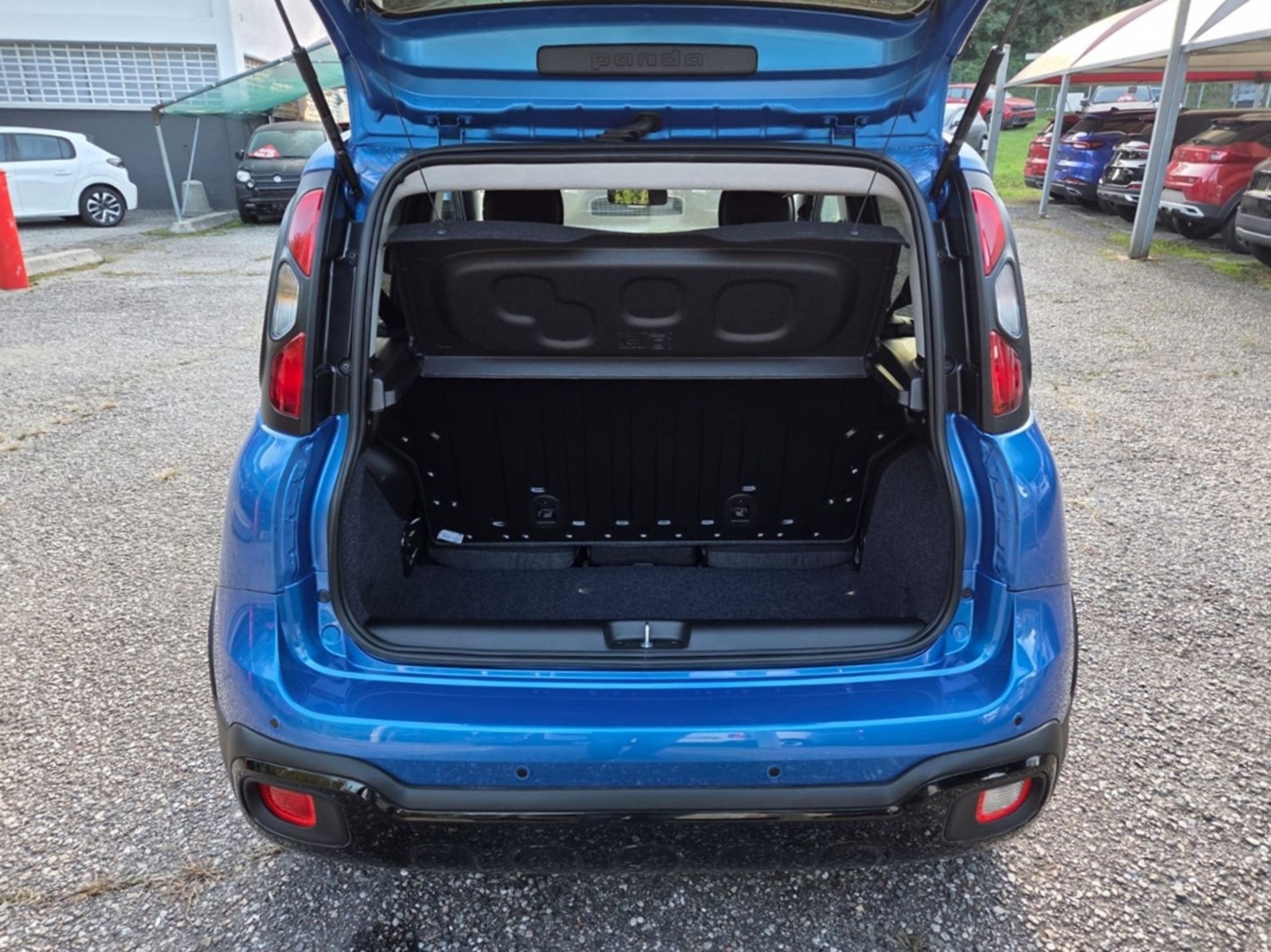 Cross 1.0 firefly hybrid s&s 65cv   - Gallotti Auto