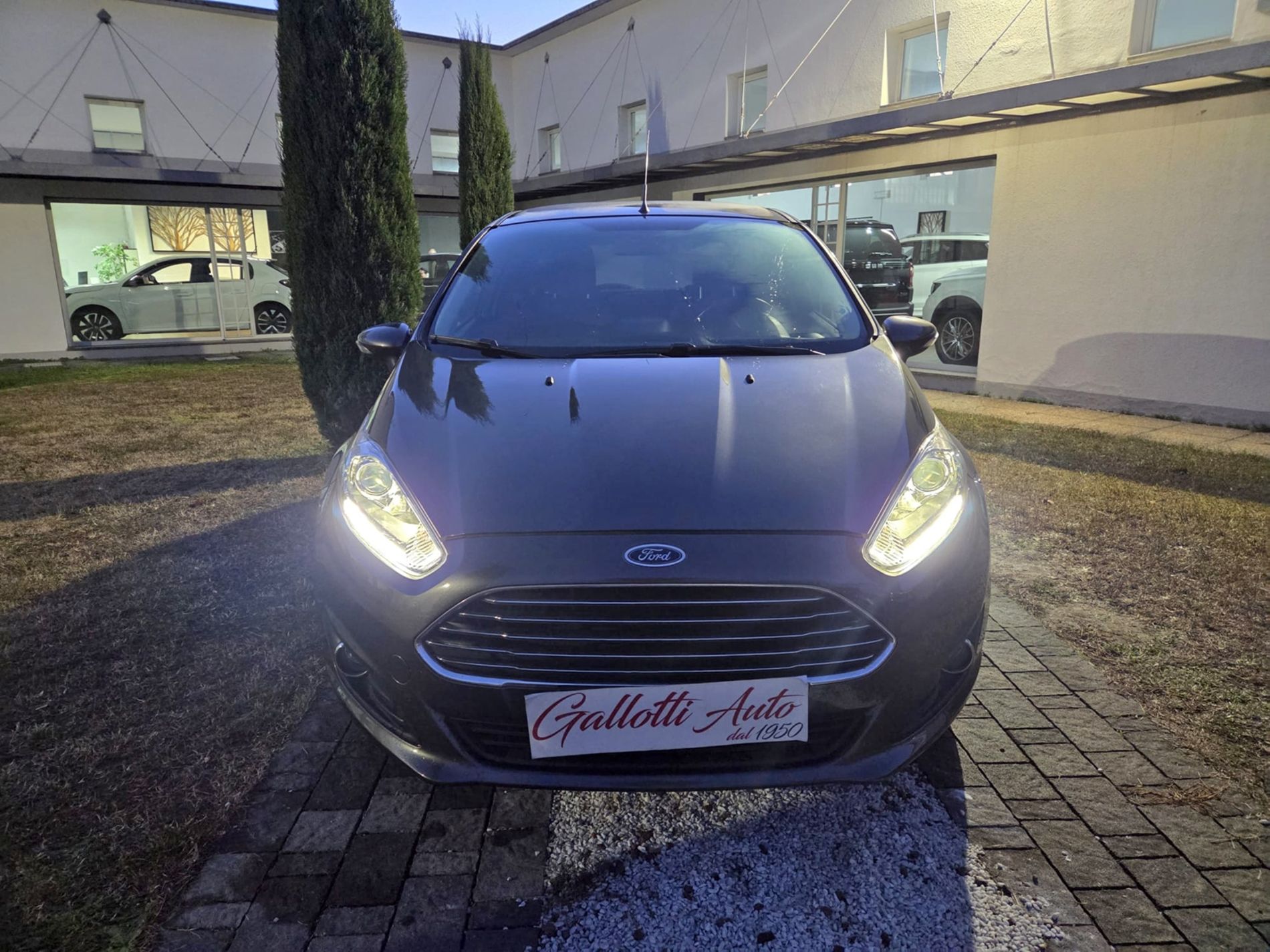 5p 1.0 ecoboost Titanium 100cv E6 - Gallotti Auto