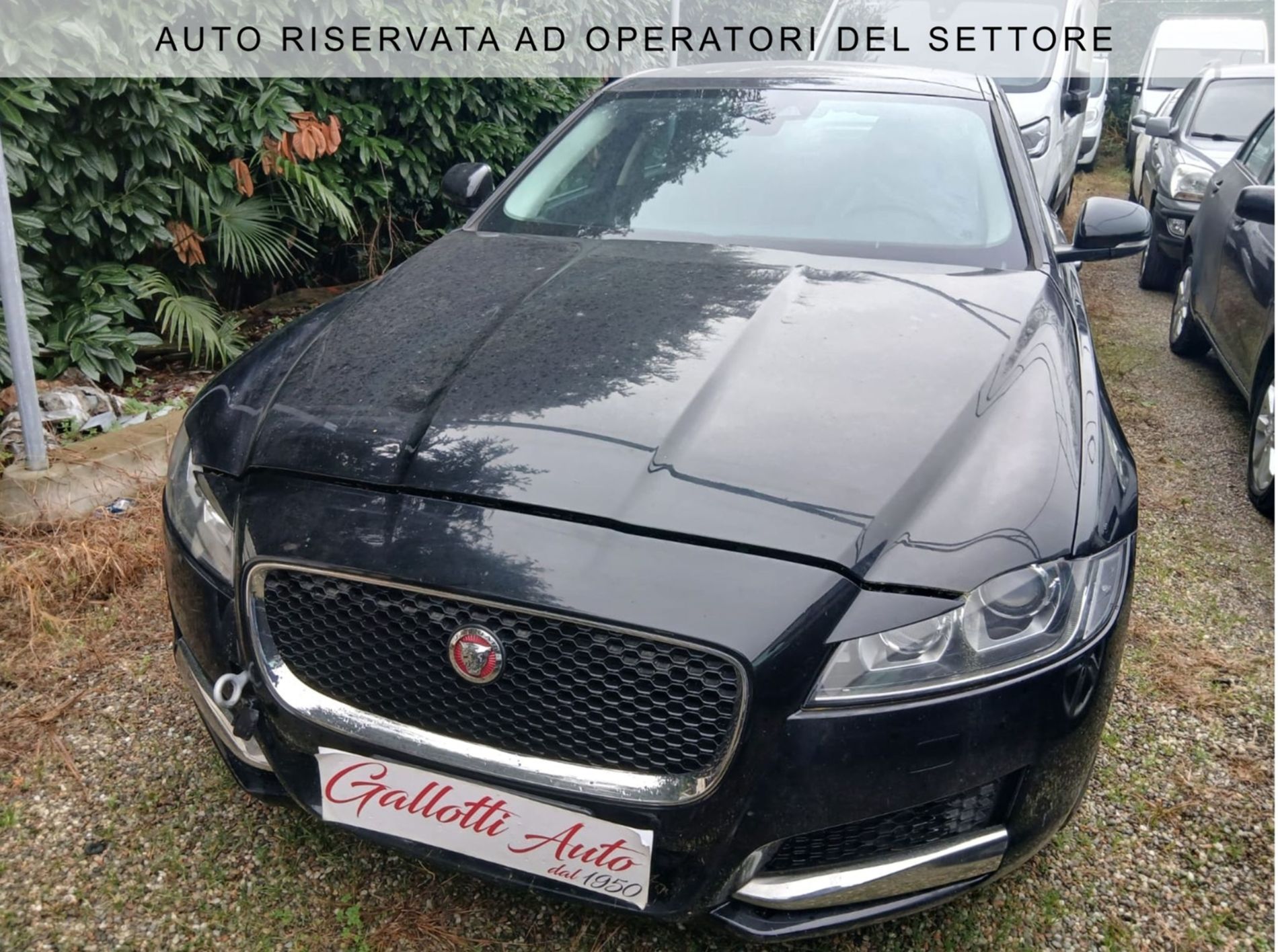 RISERVATA A COMMERCIANTI D’AUTO - MOTORE DA RIFARE - Gallotti Auto