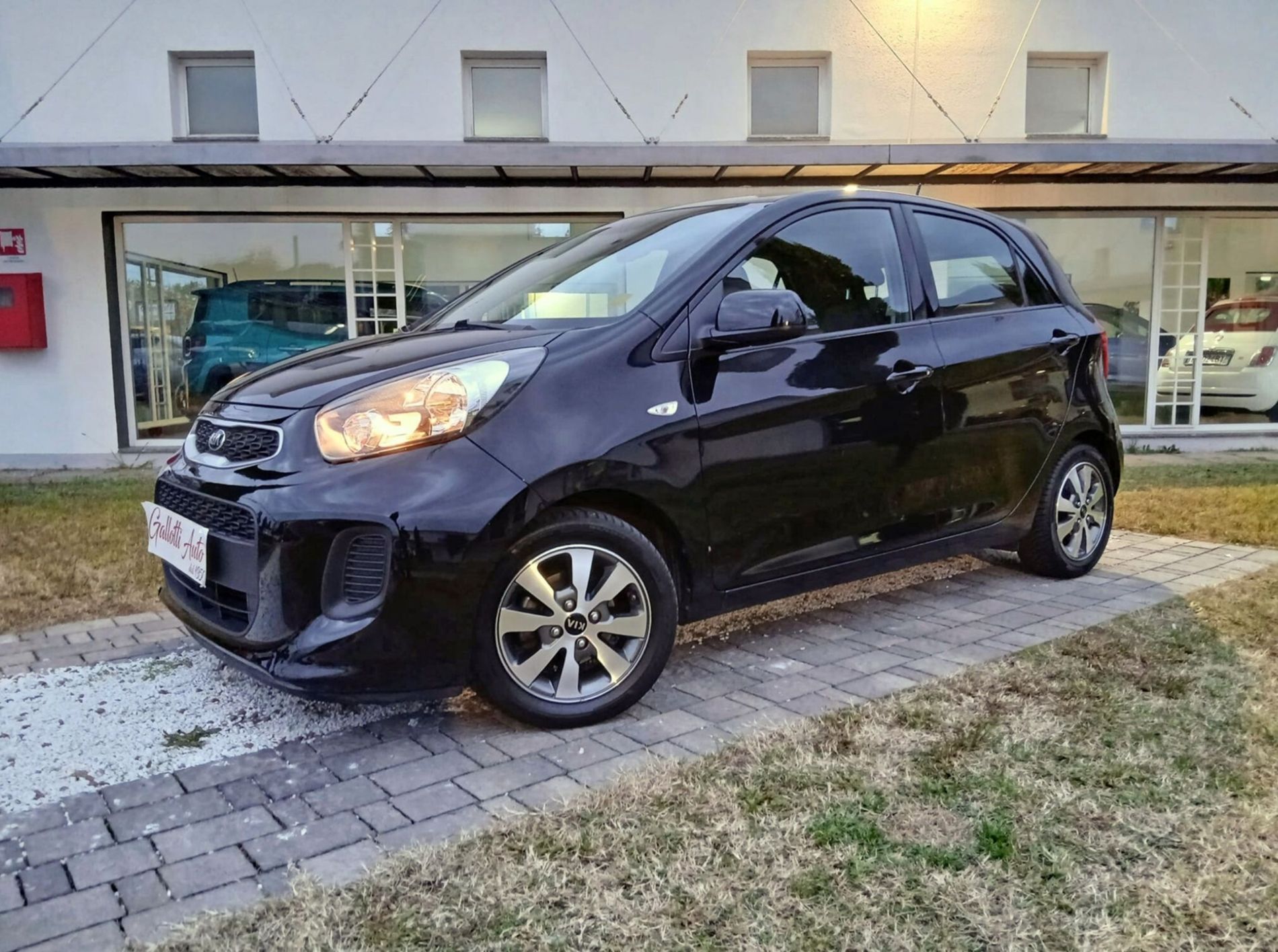 KIA Picanto 1.0 Active Collection Gpl 67cv 5p - Gallotti Auto