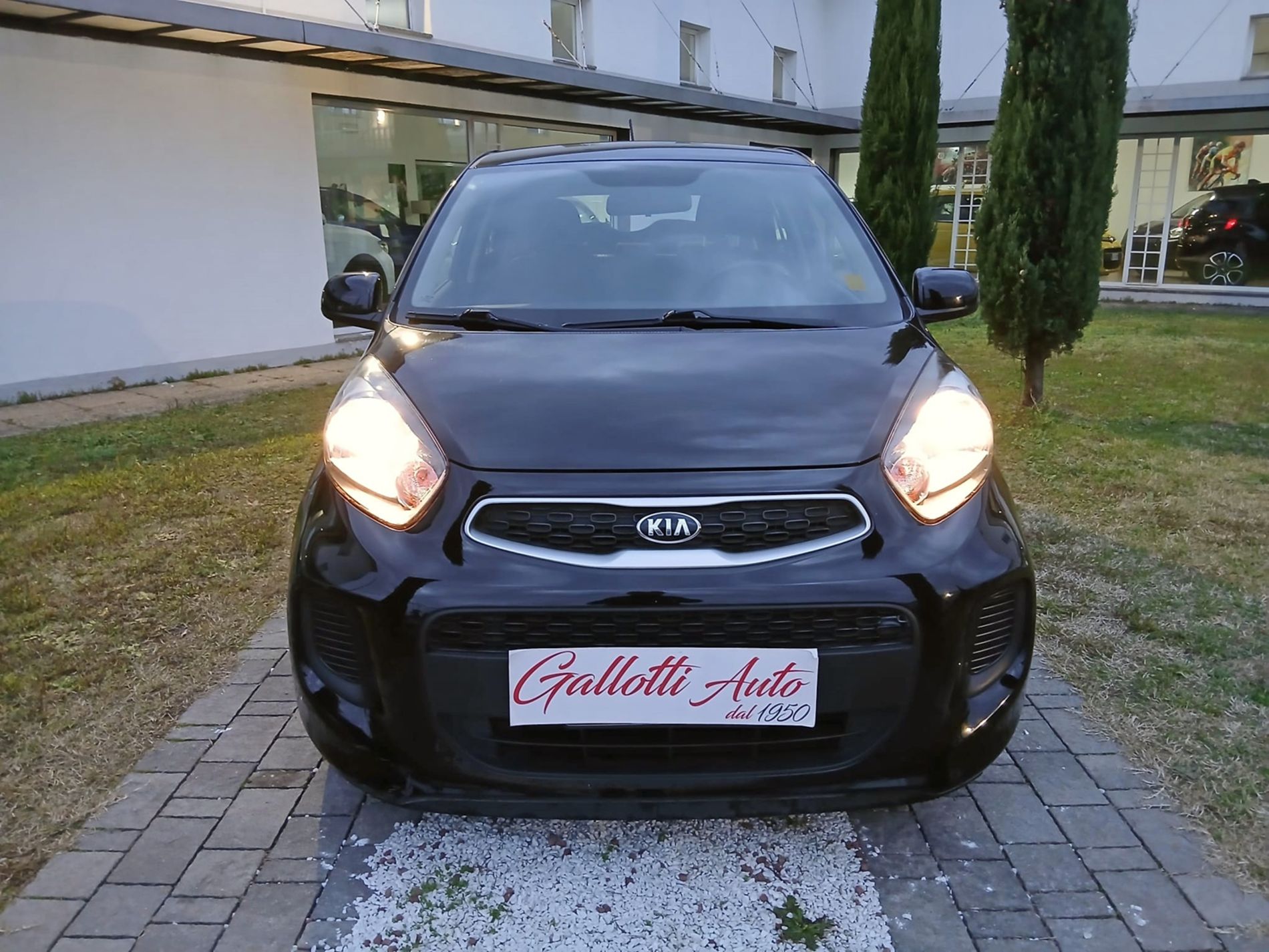 KIA Picanto 1.0 Active Collection Gpl 67cv 5p - Gallotti Auto
