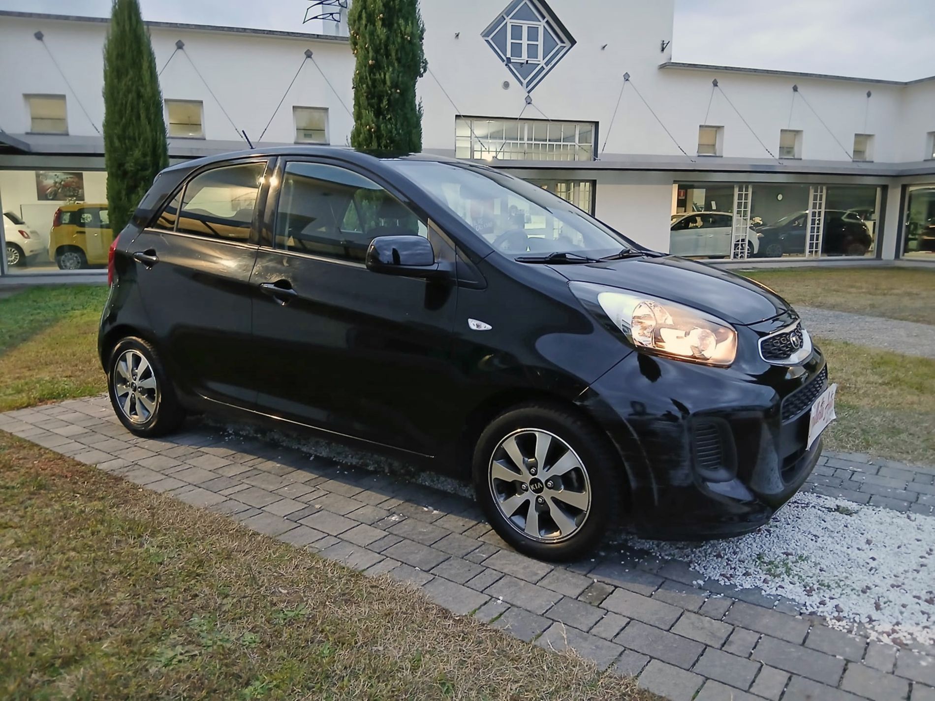 KIA Picanto 1.0 Active Collection Gpl 67cv 5p - Gallotti Auto