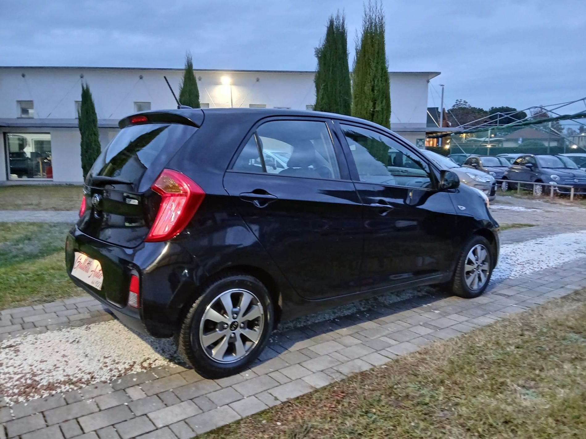 KIA Picanto 1.0 Active Collection Gpl 67cv 5p - Gallotti Auto
