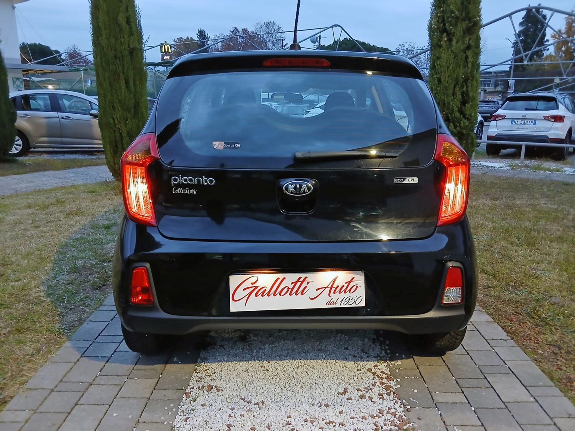 KIA Picanto 1.0 Active Collection Gpl 67cv 5p - Gallotti Auto