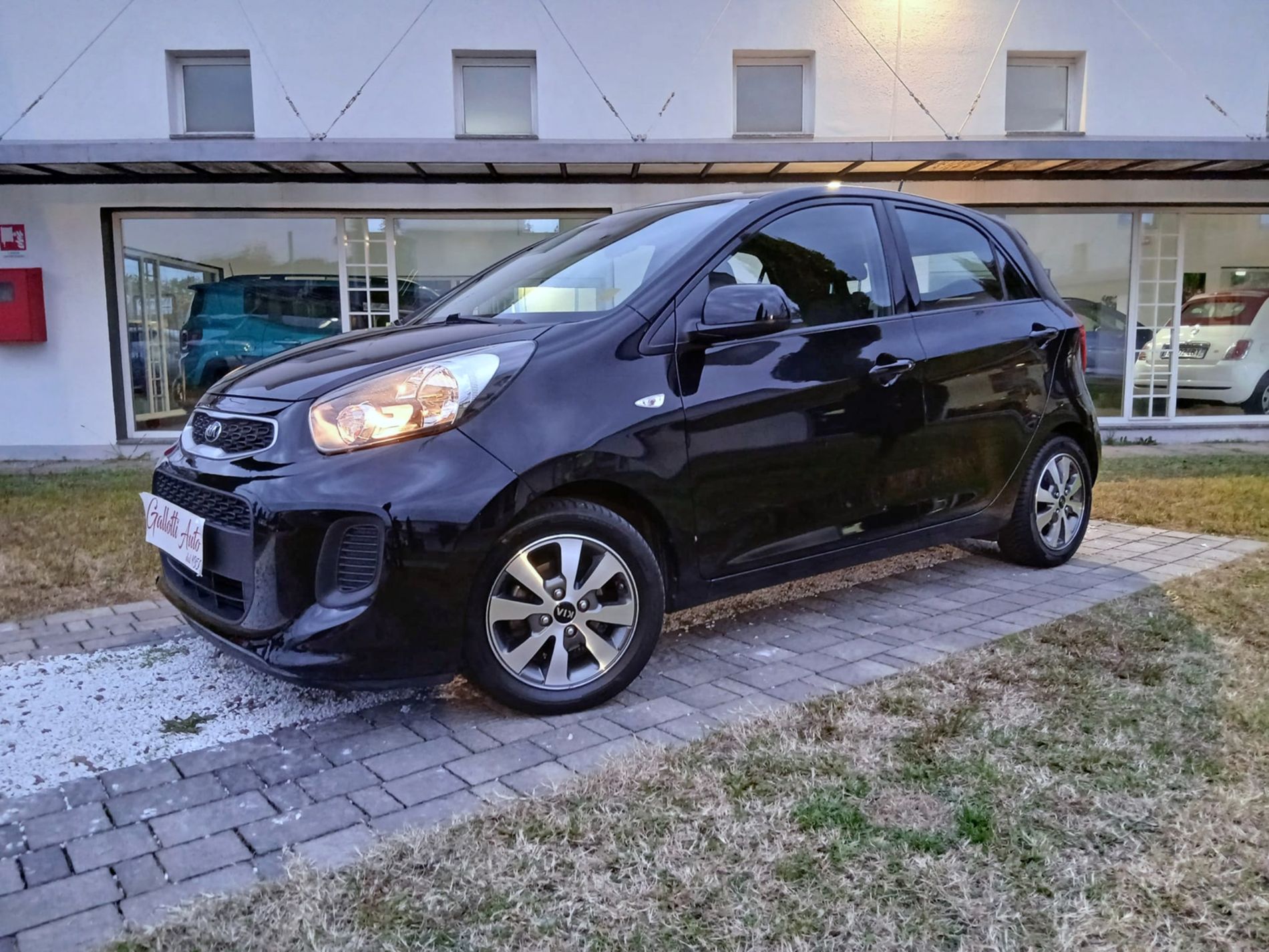 KIA Picanto 1.0 Active Collection Gpl 67cv 5p - Gallotti Auto