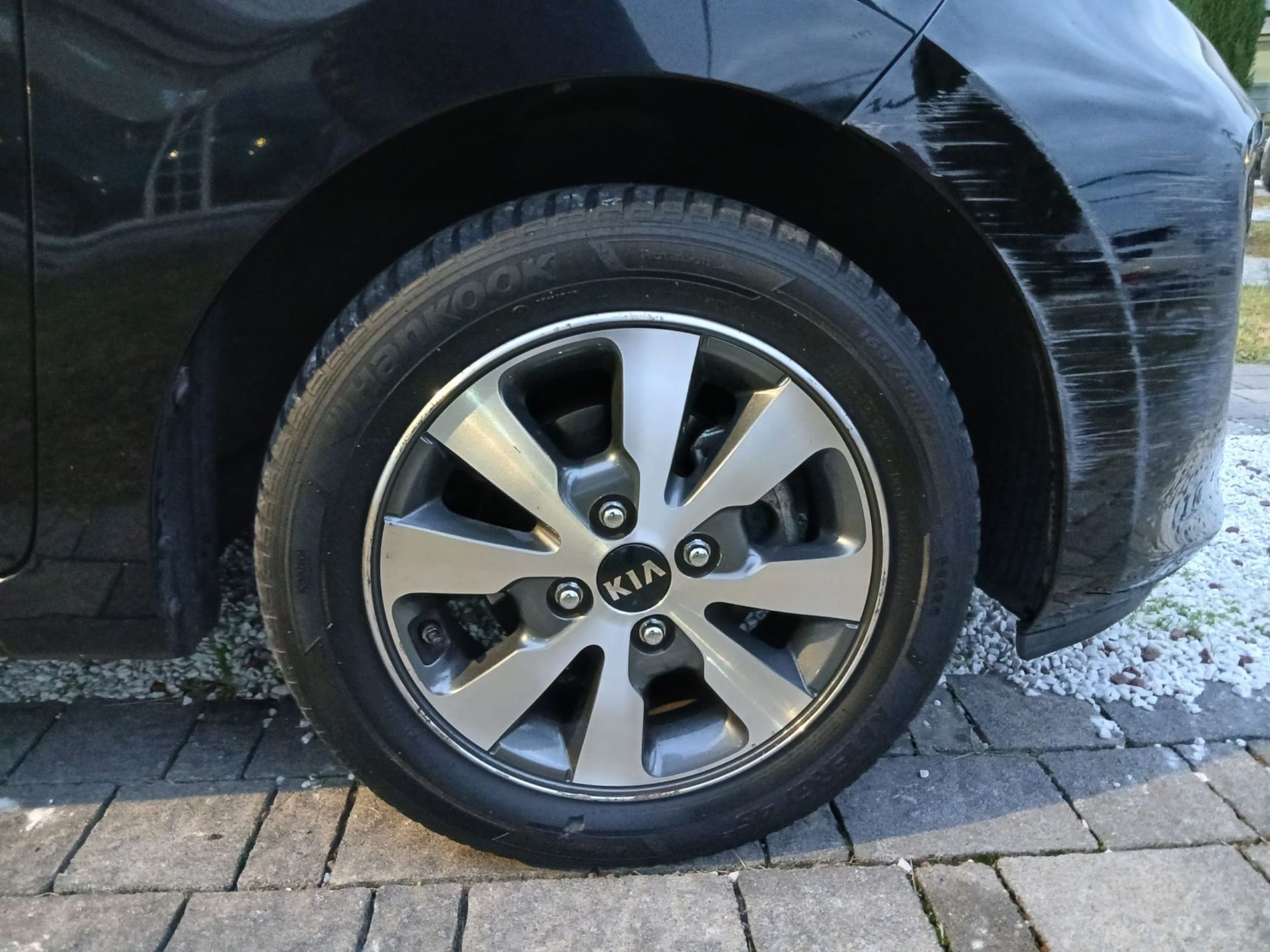 KIA Picanto 1.0 Active Collection Gpl 67cv 5p - Gallotti Auto