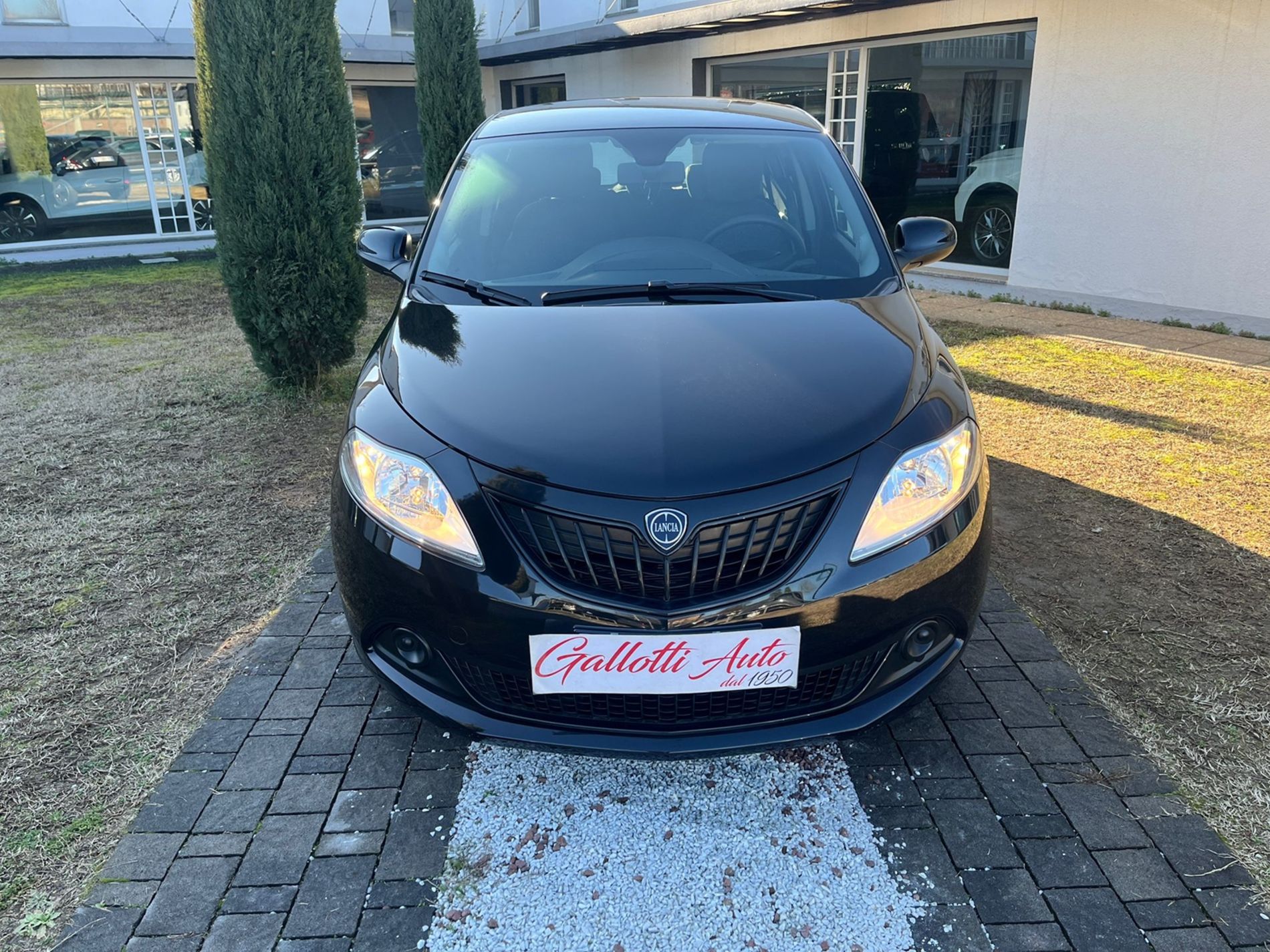 1.0 hybrid 70cv - Gallotti Auto