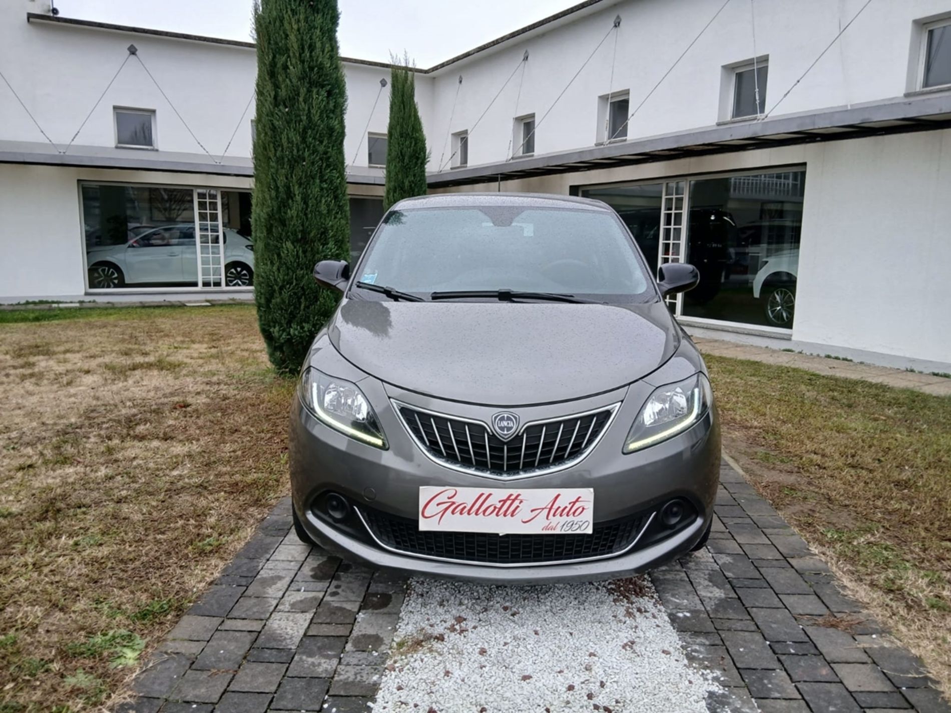 Silver 1.0 Hybrid 70cv - NEOPATENTATI - Gallotti Auto