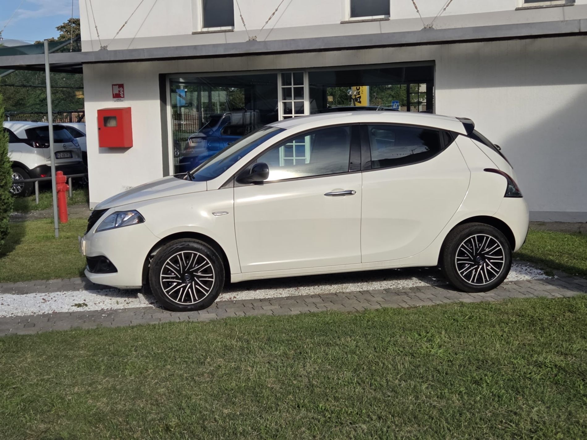 1.0 hybrid 70cv - NEOPATENTATI - Gallotti Auto
