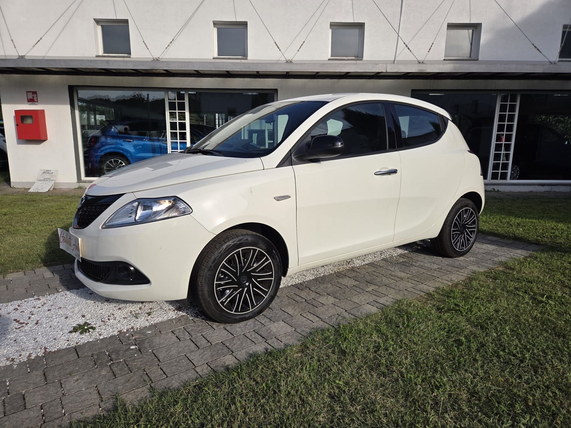 1.0 hybrid 70cv - NEOPATENTATI - Gallotti Auto