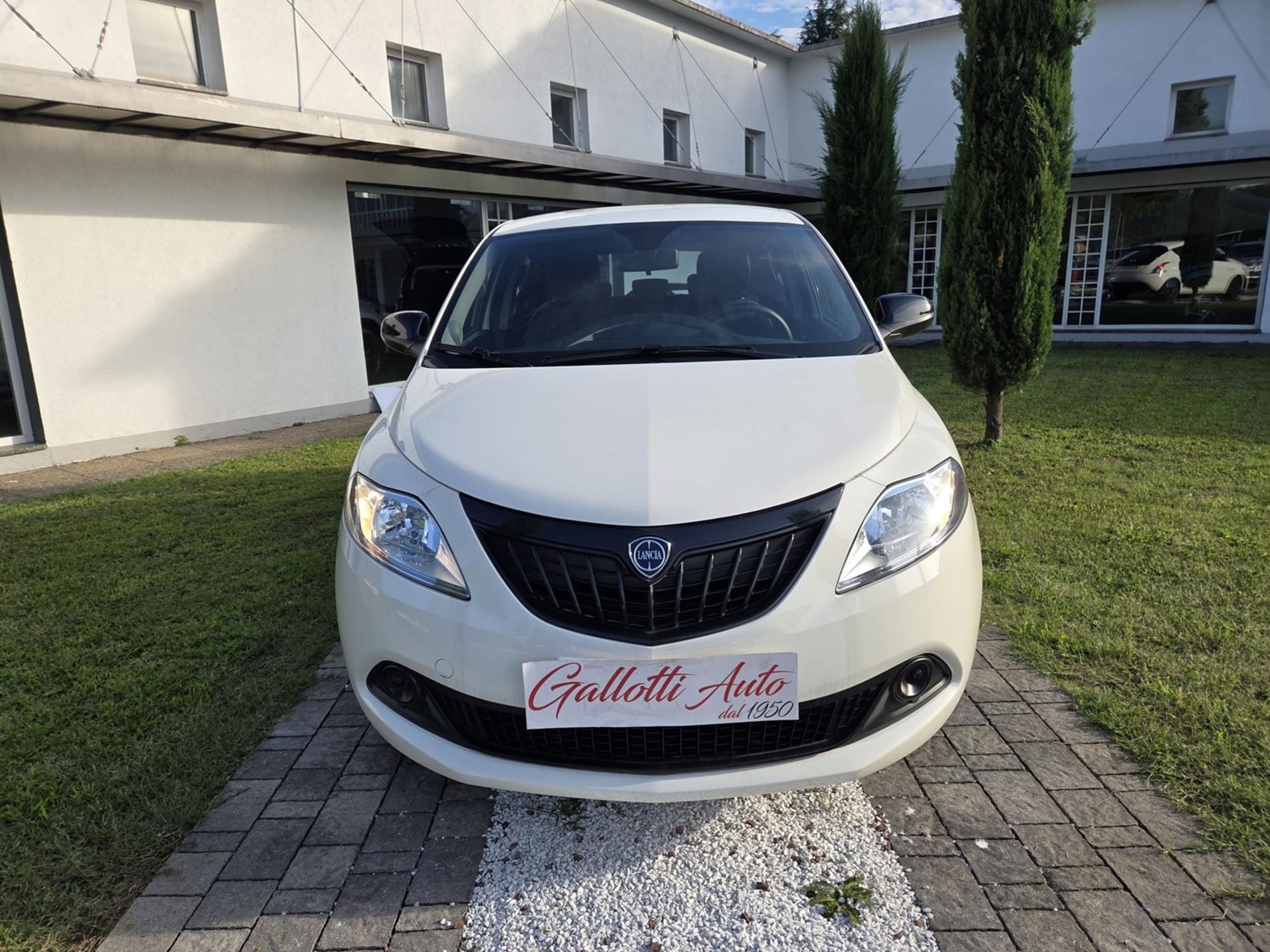 1.0 hybrid 70cv - NEOPATENTATI - Gallotti Auto