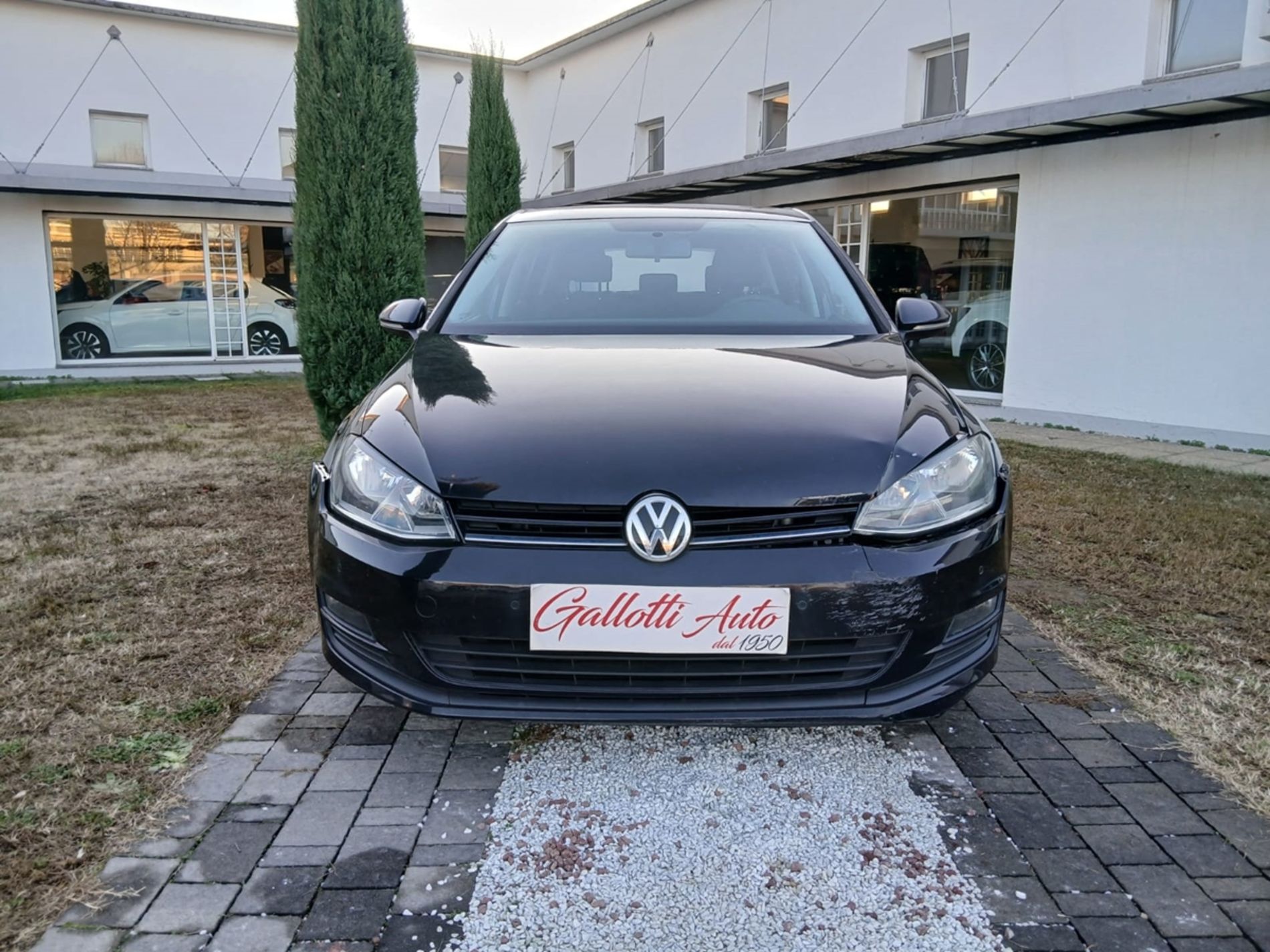 1.6 tdi Trendline 90cv E6 - RISERVATA A COMMERCIANTI D’AUTO - Gallotti Auto