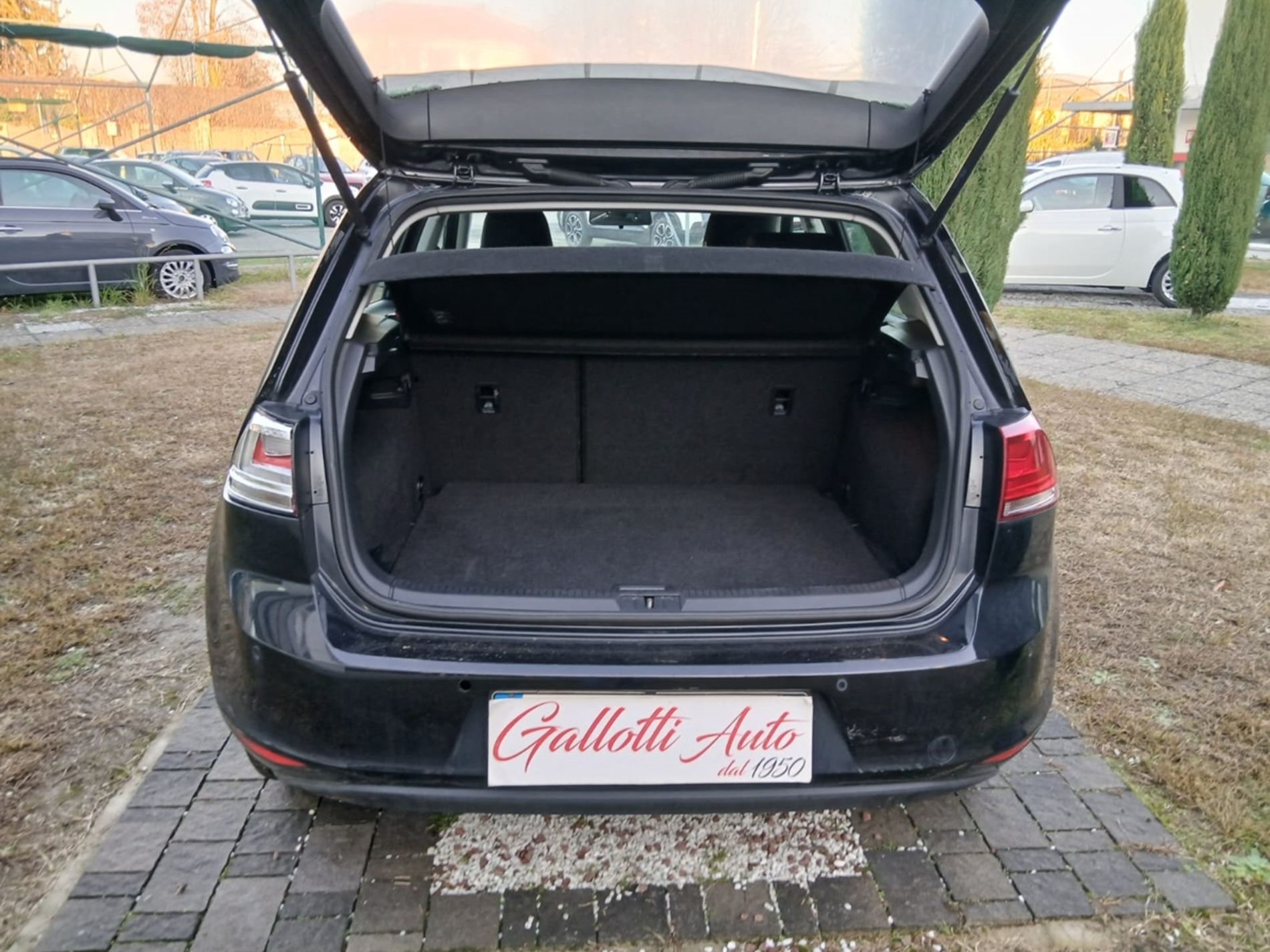 1.6 tdi Trendline 90cv E6 - RISERVATA A COMMERCIANTI D’AUTO - Gallotti Auto