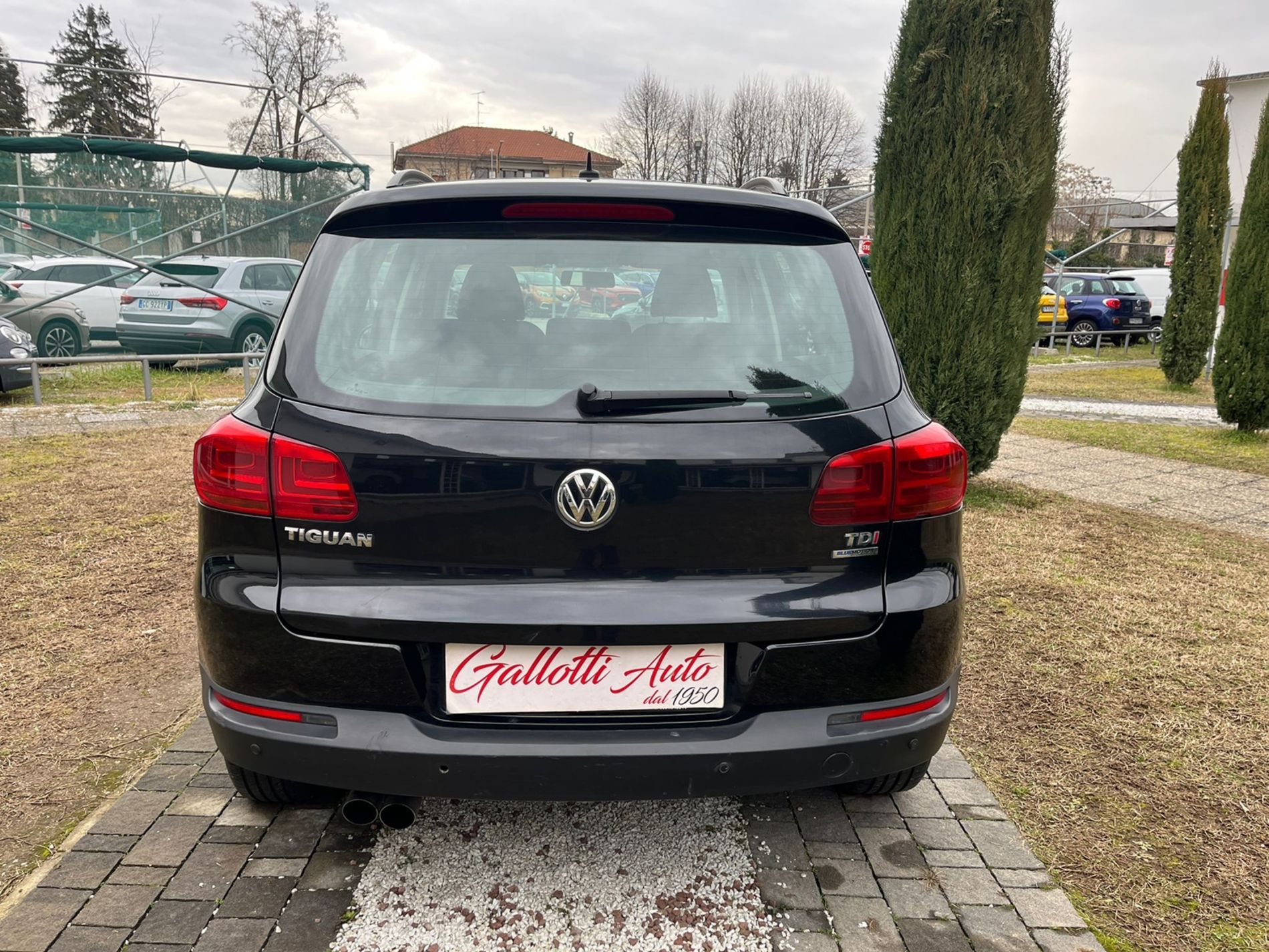  2.0 tdi bm Sport&Style 110cv - Gallotti Auto