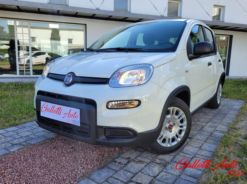 FIAT Panda Panda 1.0 firefly hybrid s&s 70cv 5p.ti - Gallotti Auto