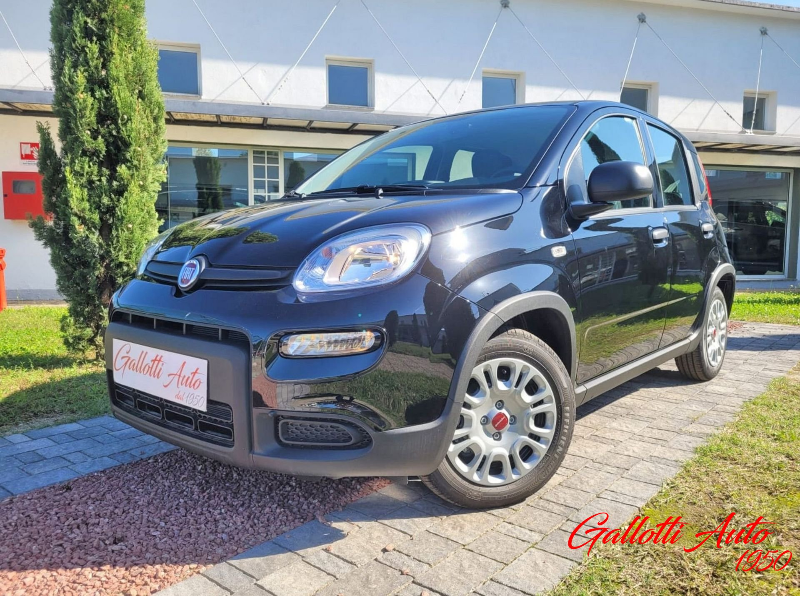 FIAT Panda Panda 1.0 firefly hybrid s&s 70cv 5p.ti - Gallotti Auto