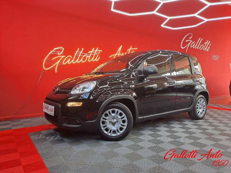 FIAT Panda Pandina 1.0 firefly hybrid s&s 70cv - Gallotti Auto