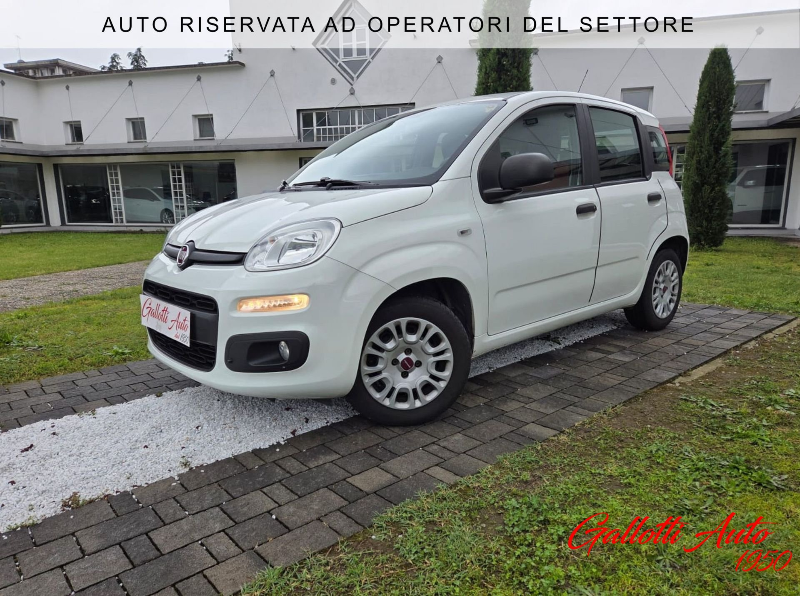 FIAT Panda Panda 1.2 Easy 69cv E6 - Gallotti Auto