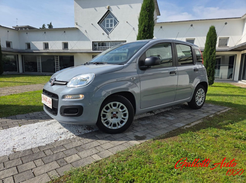 FIAT Panda Panda 1.0 firefly hybrid s&s 70cv - Gallotti Auto