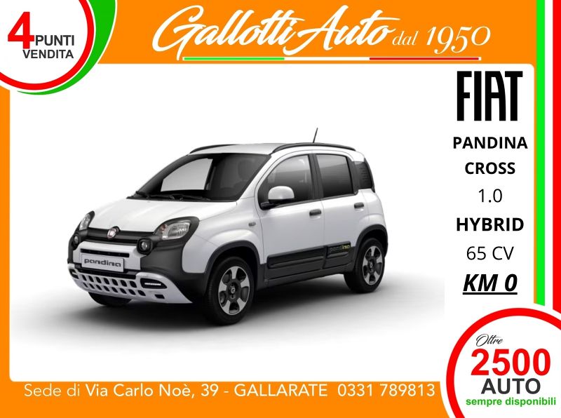 FIAT PANDINA Cross 1.0 firefly hybrid s&s 65cv - Gallotti Auto