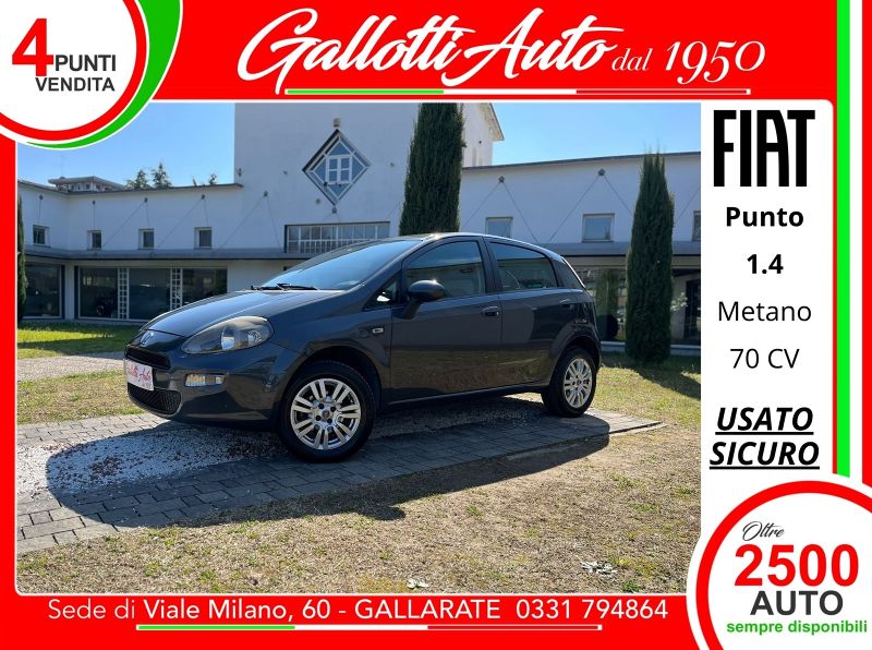 FIAT Punto Punto 1.4 natural power Easy 70cv 5p - Gallotti Auto